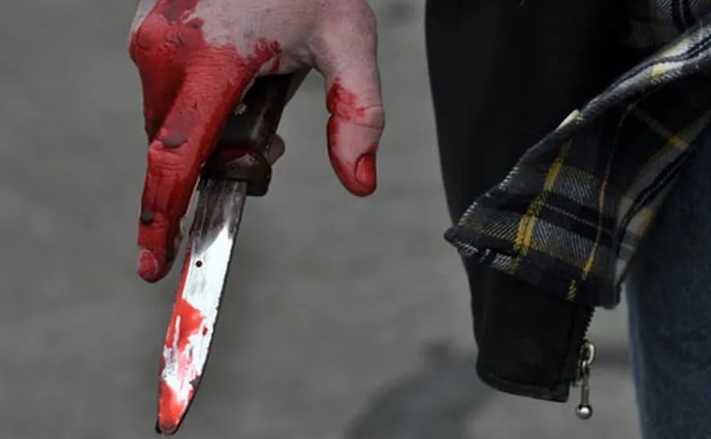 Малолетник во Шуто Оризари со нож повреди врсник и сам се пријави во полиција
