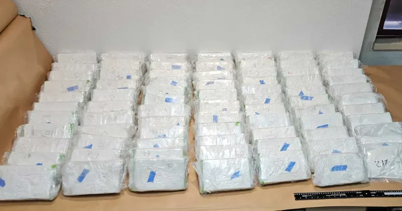 Europol in Črna gora aretirali 12 članov balkanskega kartela zaradi mamil