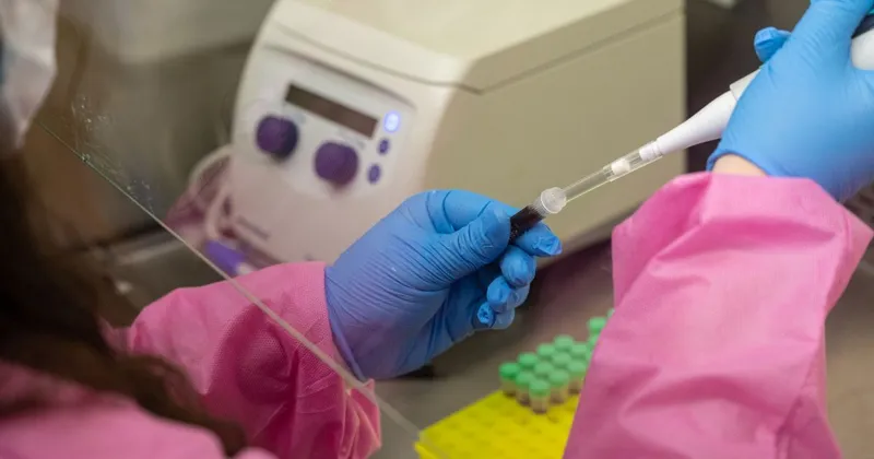 Virus Zahodnega Nila se širi po Balkanu, Hrvaška potrdila tri primere