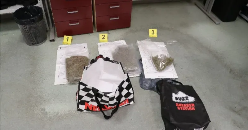 Policisti na Dragonji trojici zasegli 1,2 kilograma konoplje