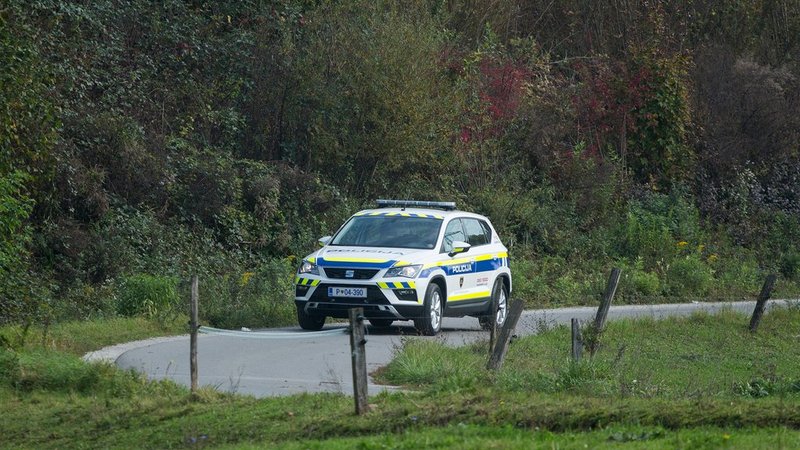 Praznično delo policistov PU Novo mesto: Nesreče, globe in prebežniki