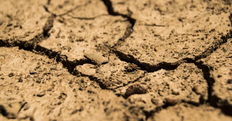 WMO napoveduje 80-odstotno verjetnost pojava močnega El Niña do avgusta