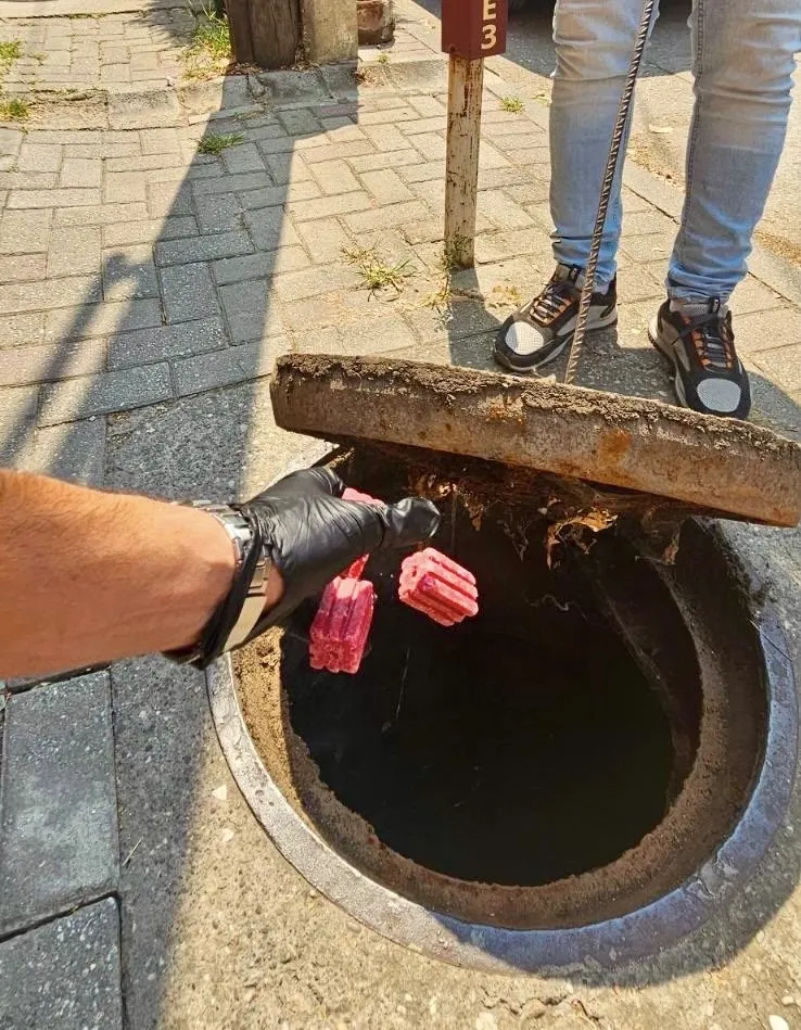 Општина Центар најави нова вонредна дератизација поради стаорци во Буњаковец