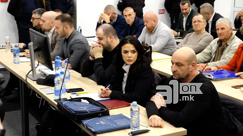 Милевска-Стефановска сведочеше за обврските на обезбедувањето во „Пулс“