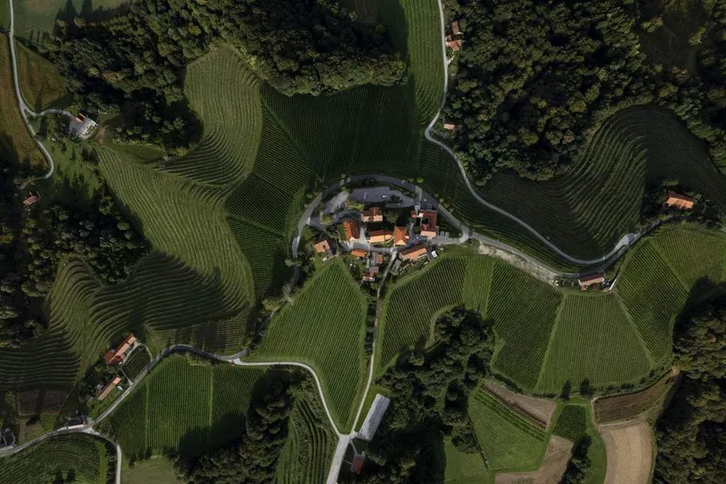 Platforma EBD je Štajersko uvrstila na tretje mesto najboljših destinacij 2026