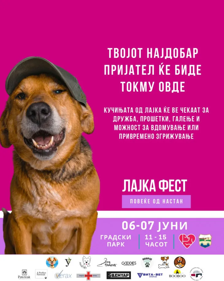 ЈП Лајка го реализираше тридневниот фестивал Лајка фест за бездомните кучиња