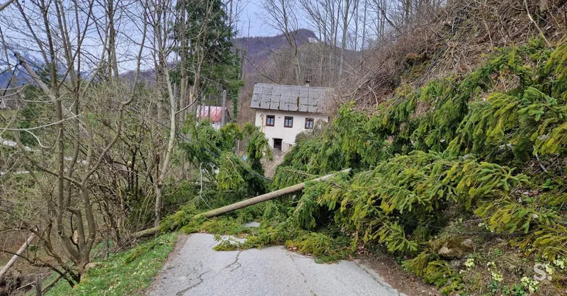 Močan veter in sneg v Sloveniji povzročata vetrolome in izpade elektrike