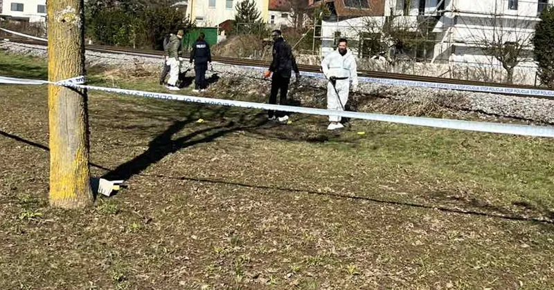 Grosuplje: policija zasegla orožje po streljanju na posesti
