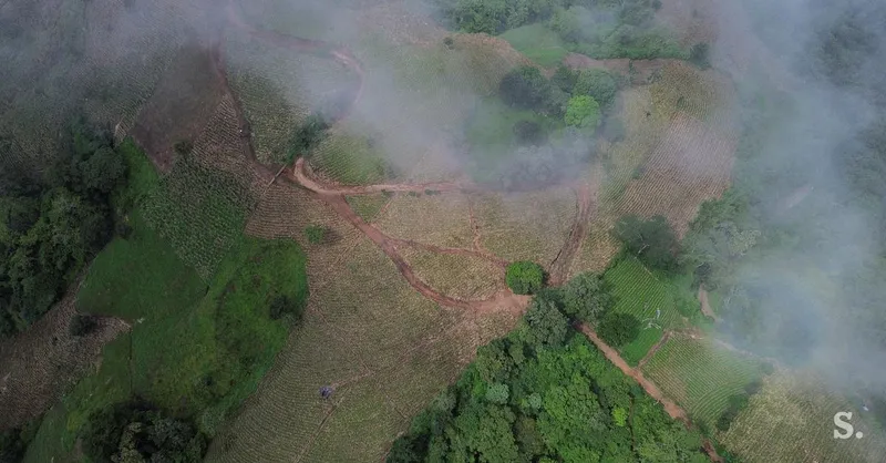 Svetovna meteorološka organizacija napoveduje krepitev pojava El Nino do decembra