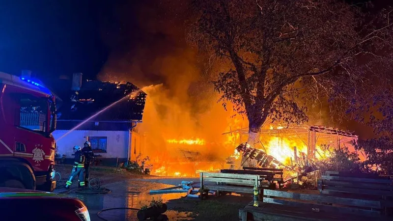 Država in donatorji pomagajo kmetiji Bukovnik po uničujočem požaru