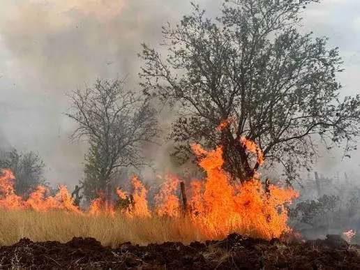 ЦУК: Регистрирани 14 пожари на отворено, активни жаришта во Кичево и Битола