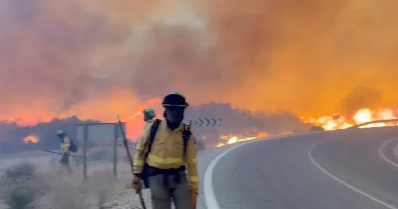 Gozdni požar v španski provinci Almeria zahteval najmanj 11 smrtnih žrtev