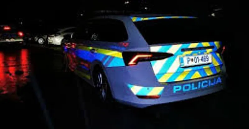 Ljubljanska policija preiskuje streljanje pred lokalom pod Šmarno goro