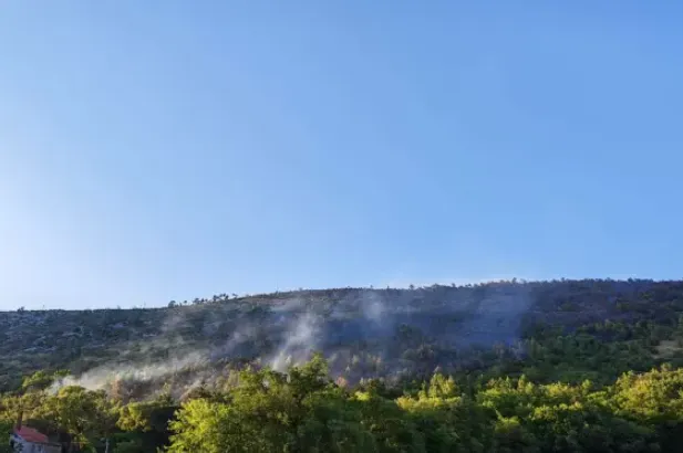 Gasilci in letala obvladali požar v Brestovici pri Komnu