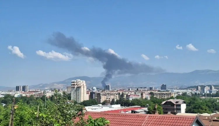 Пожари во Визбегово и Шуто Оризари ги мобилизираа противпожарните служби