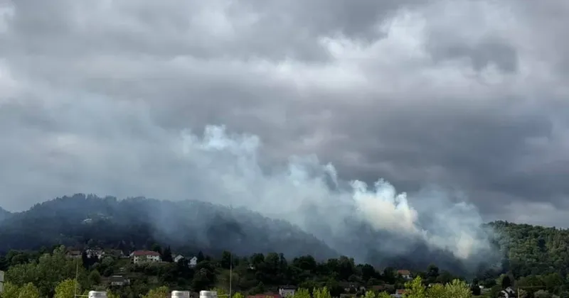 Gasilci in letali Air Tractor pogasili obsežen požar na Grajskem hribu v Celju