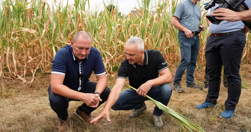 Minister Cigler Kralj in KGZS napovedala pomoč kmetom zaradi posledic suše