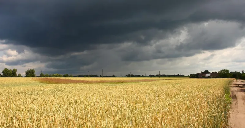 Arso izdaja oranžno opozorilo zaradi požarne ogroženosti in napoveduje vročino