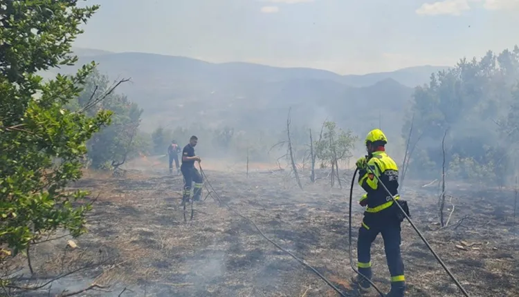 13 пожари во Македонија, два активни во Маврово и Струга
