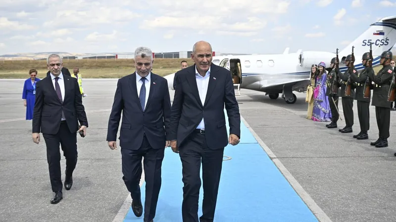 Premier Janša na vrhu Nata v Ankari napovedal zvišanje obrambnih izdatkov