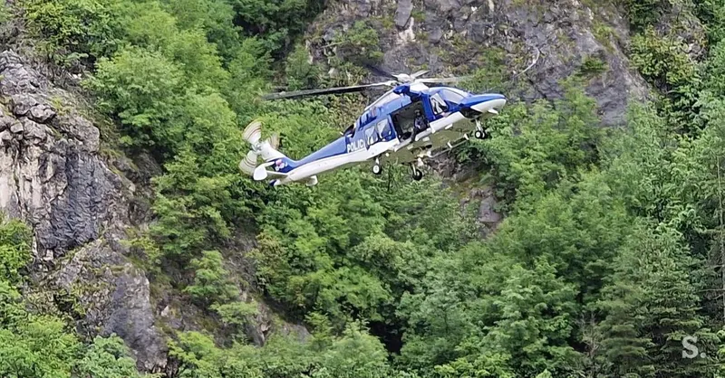 44-letnik umrl v gozdarski nesreči na območju občine Gorenja vas - Poljane