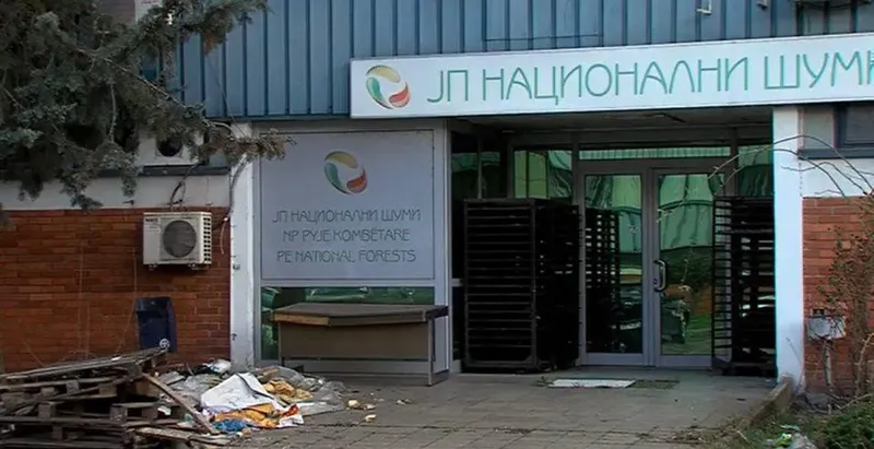 Кривична пријава за В.Г. поради продажба на поевтини дрва во ЈП Национални шуми
