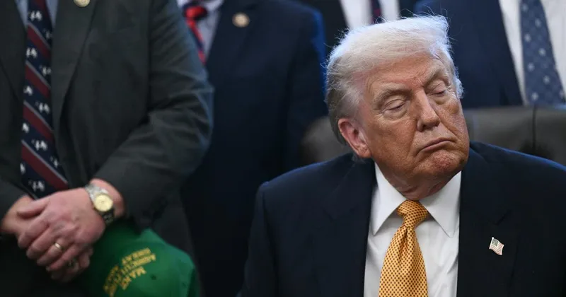 Trump grozi s carinami državam, ki nasprotujejo priključitvi Grenlandije k ZDA