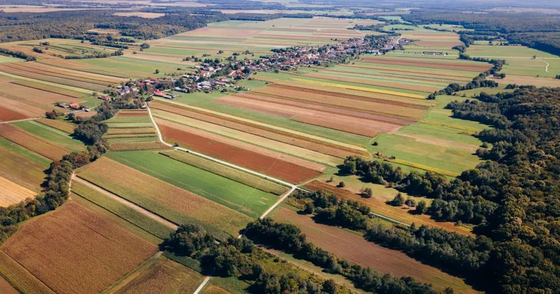 Slovenija obeležila dan priključitve Prekmurja z osrednjo slovesnostjo