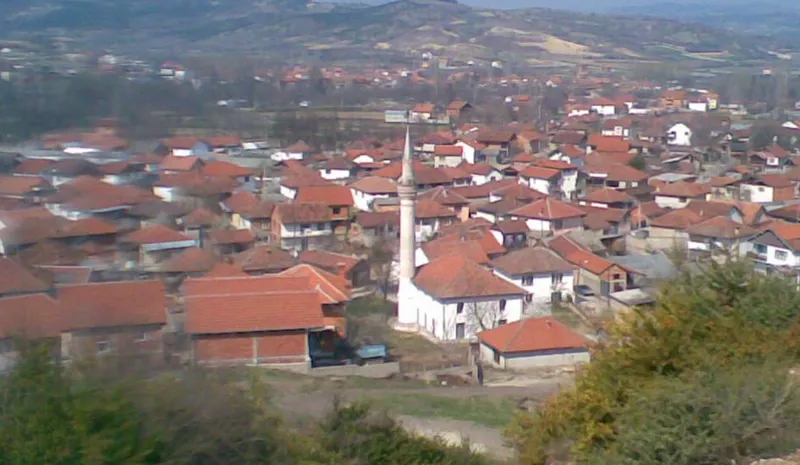 Институциите координирано ги санираат поплавите во селата Буковиќ и Семениште