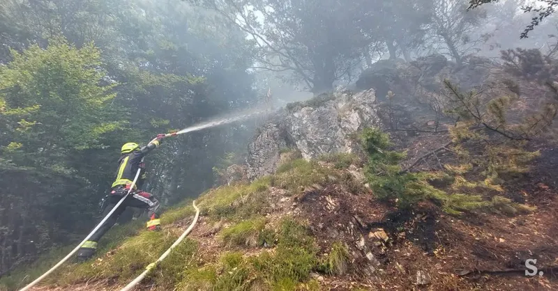 Gasilci in zračne sile gasijo obsežen gozdni požar na Planji na Bovškem