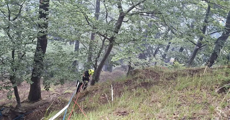Policija preiskuje požar pri Slovenski Bistrici zaradi najdenega kurišča