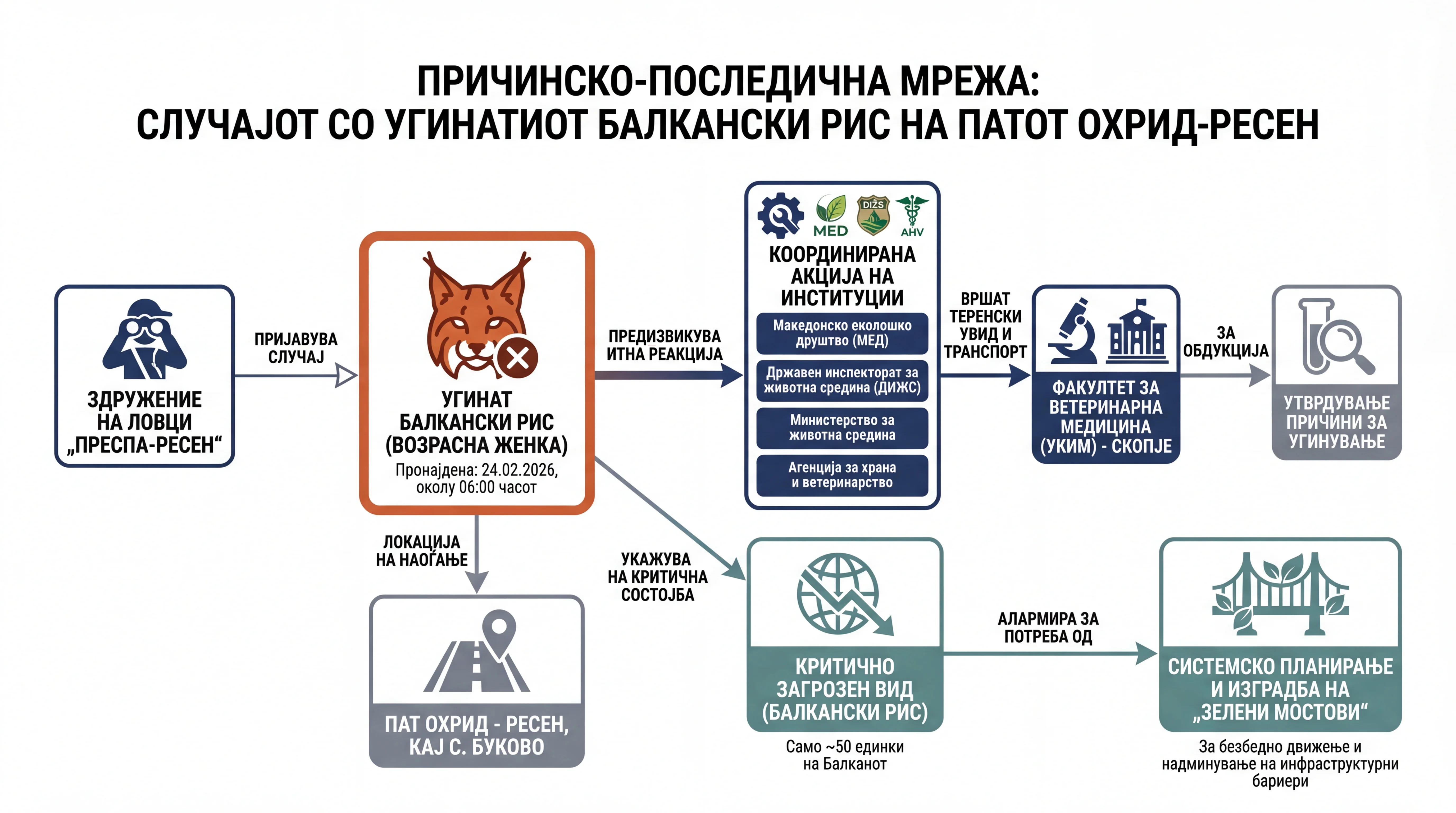 Infografika dogodka