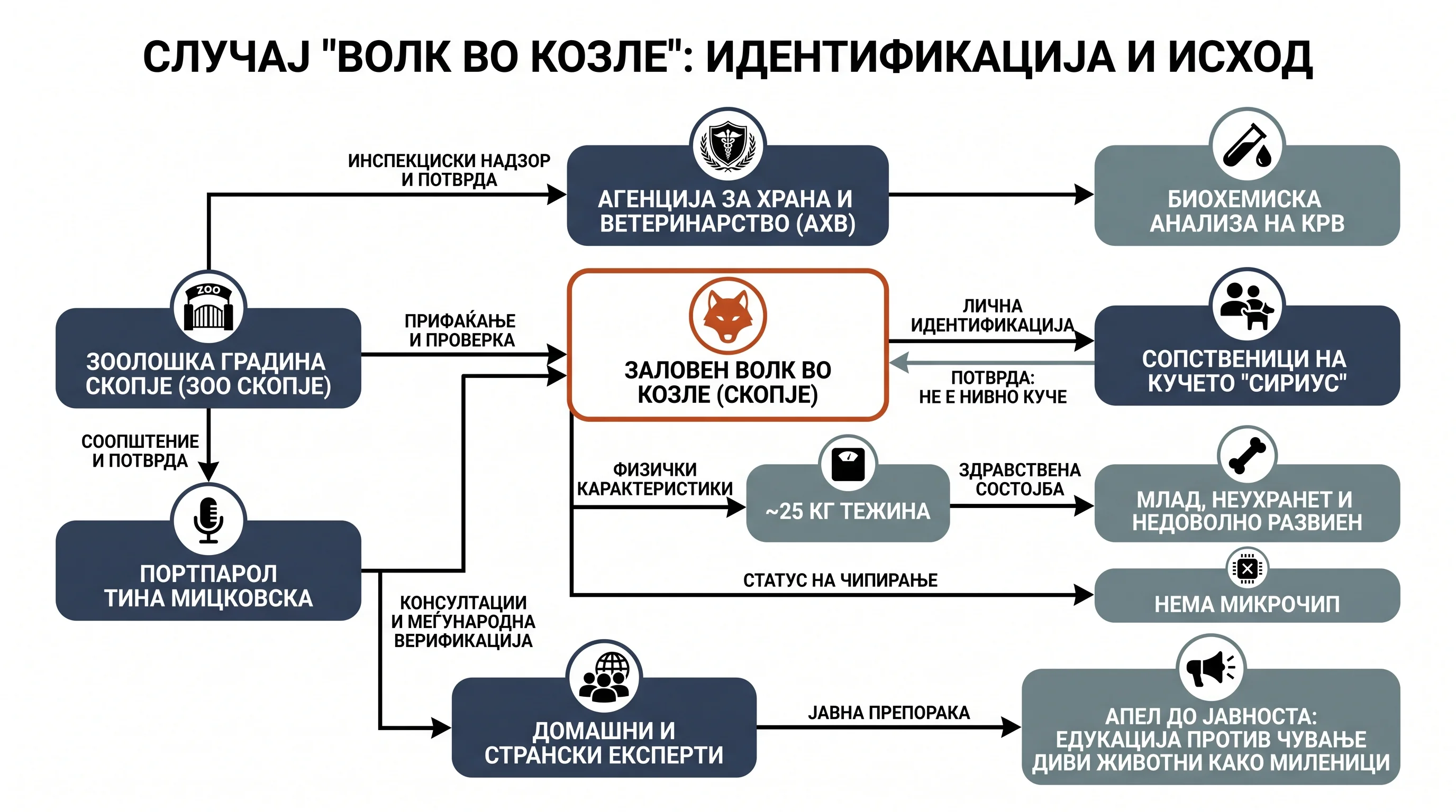 Infografika dogodka