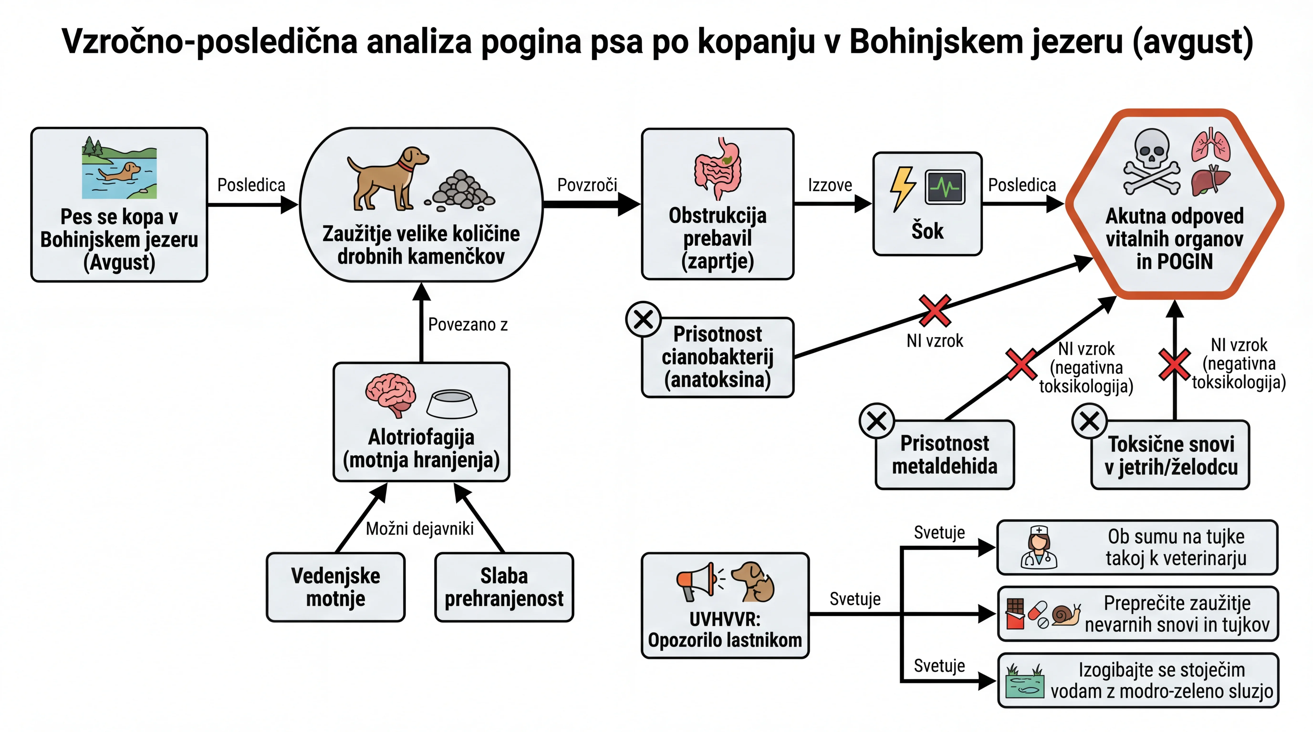 Infografika dogodka